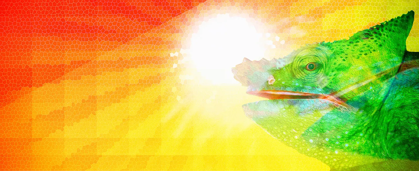 Color for the Color-challenged