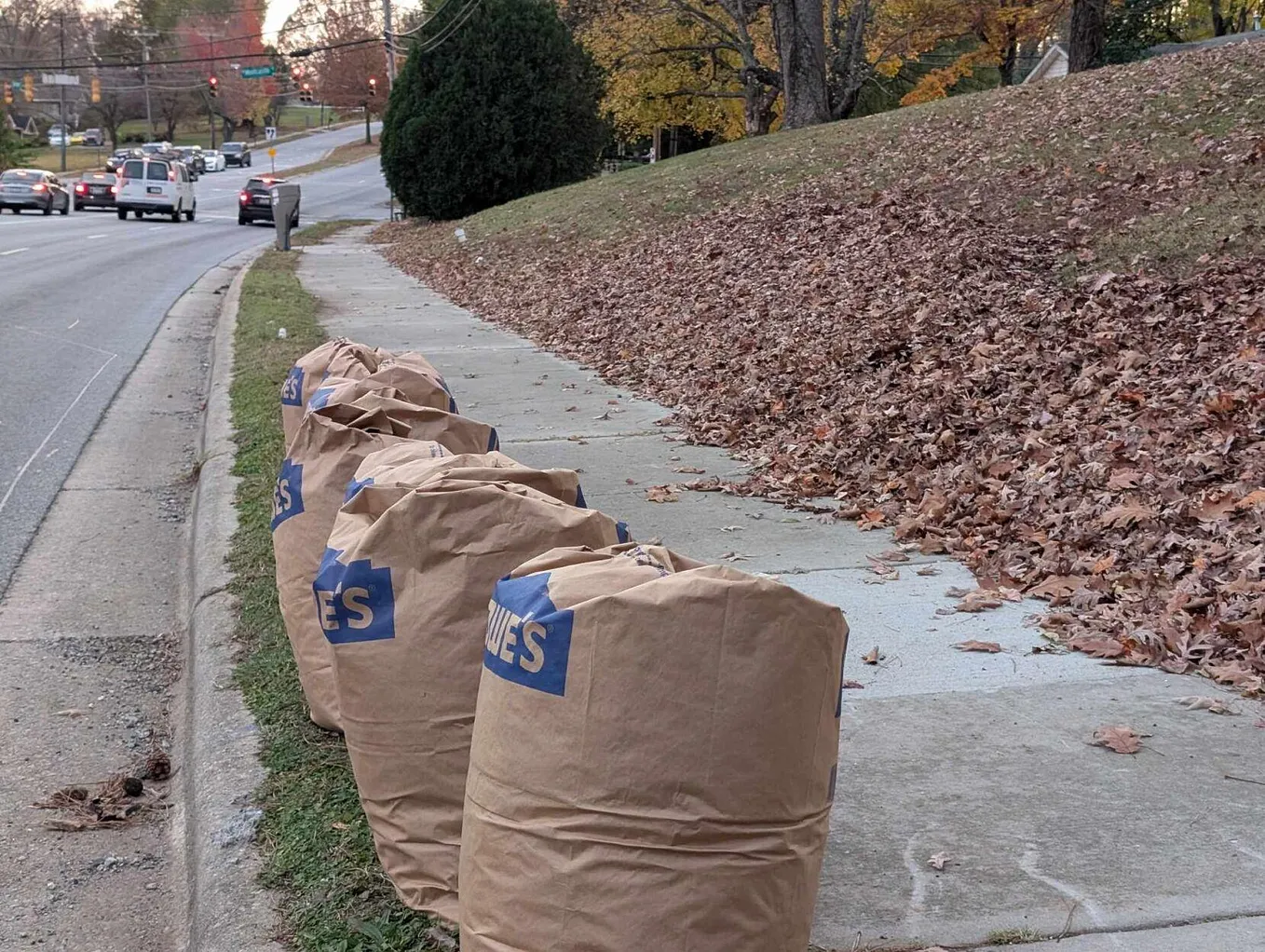 The Forgotten Voices of Greensboro: A Story of Disconnect Between Leaders and Residents