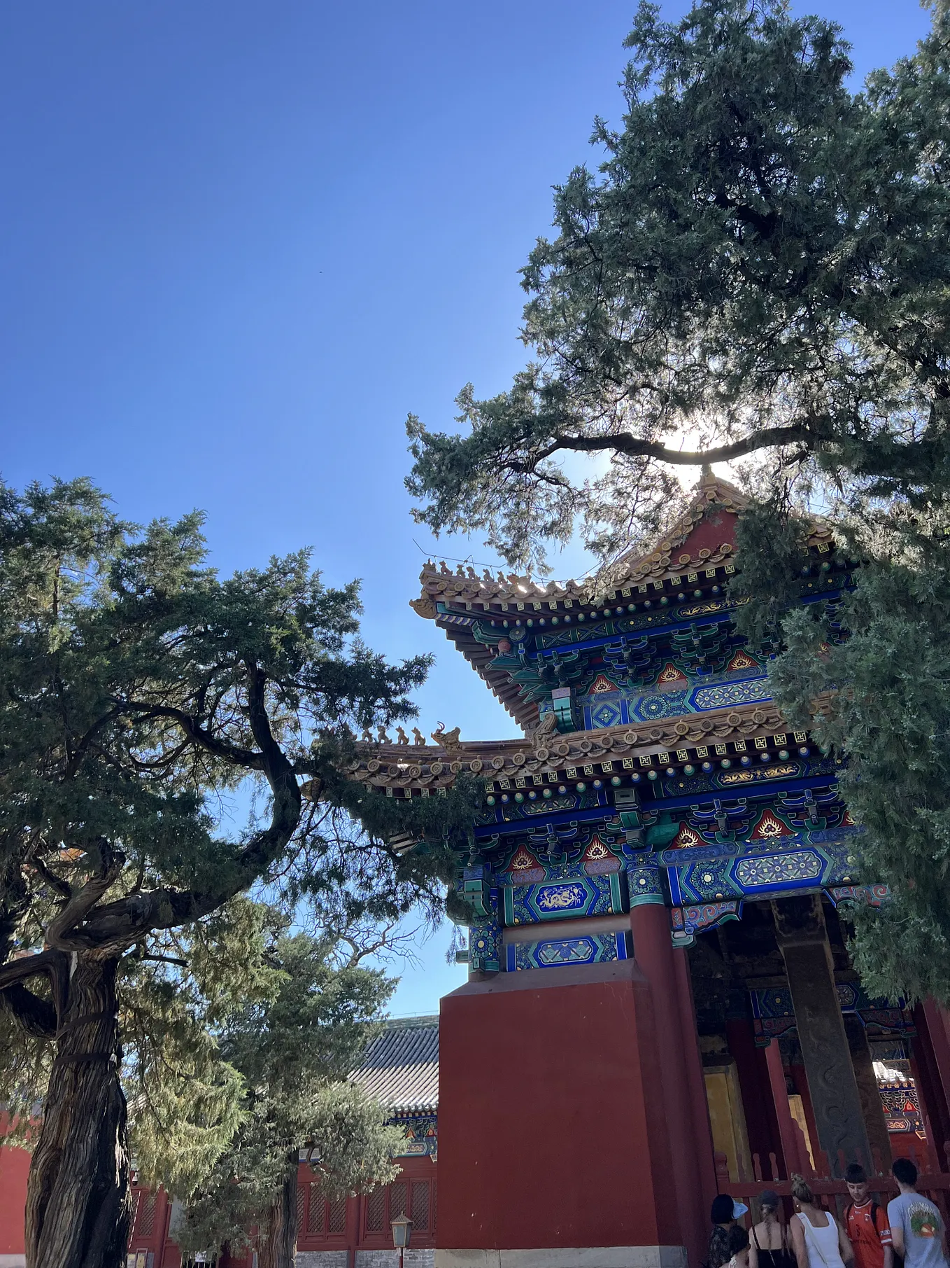 A colourful Chinese temple with trees and a blue sky.