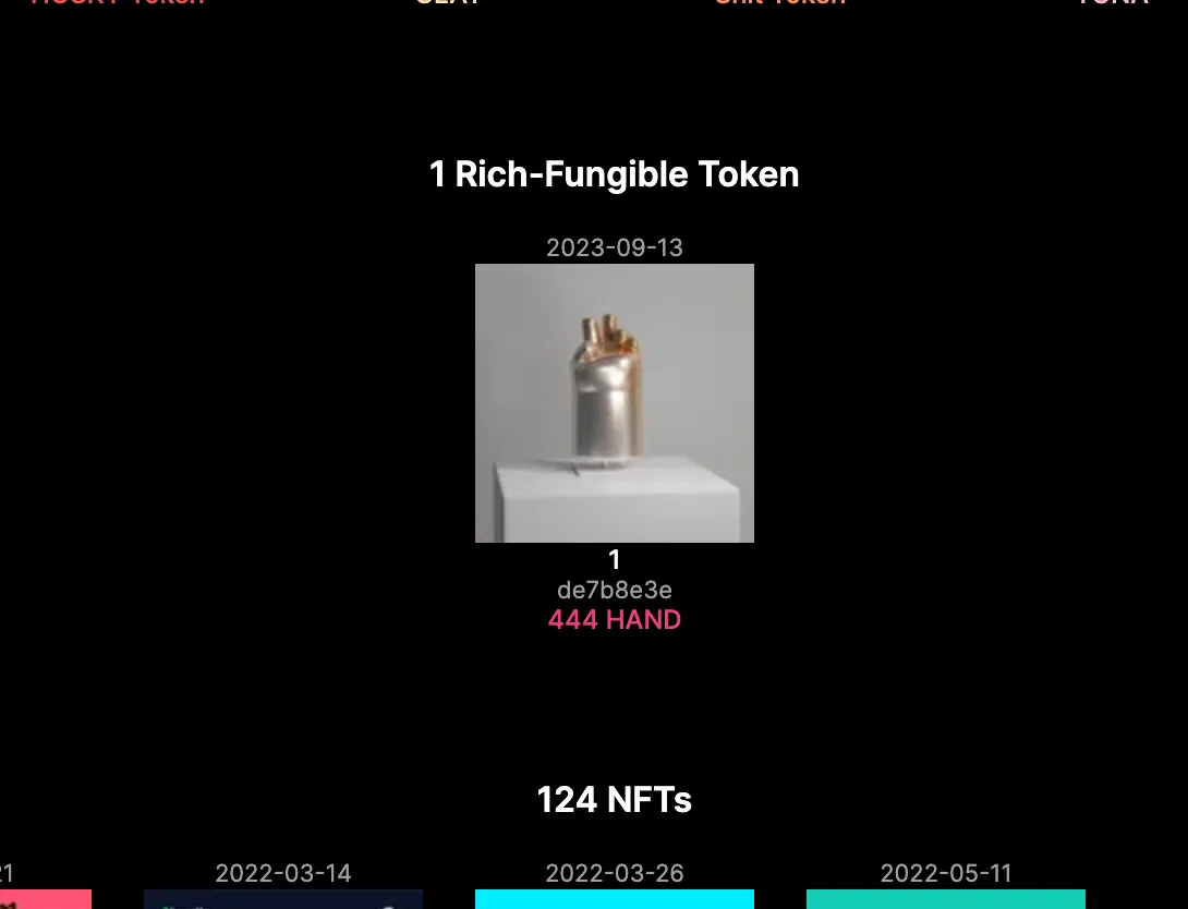 What is a Rich Fungible Token (RFT)