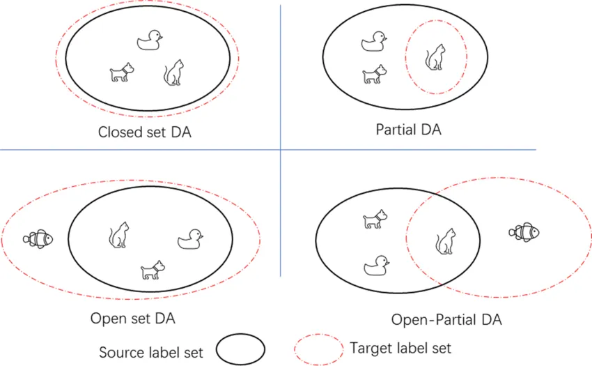 A Guide to Open Set Domain Adaptation