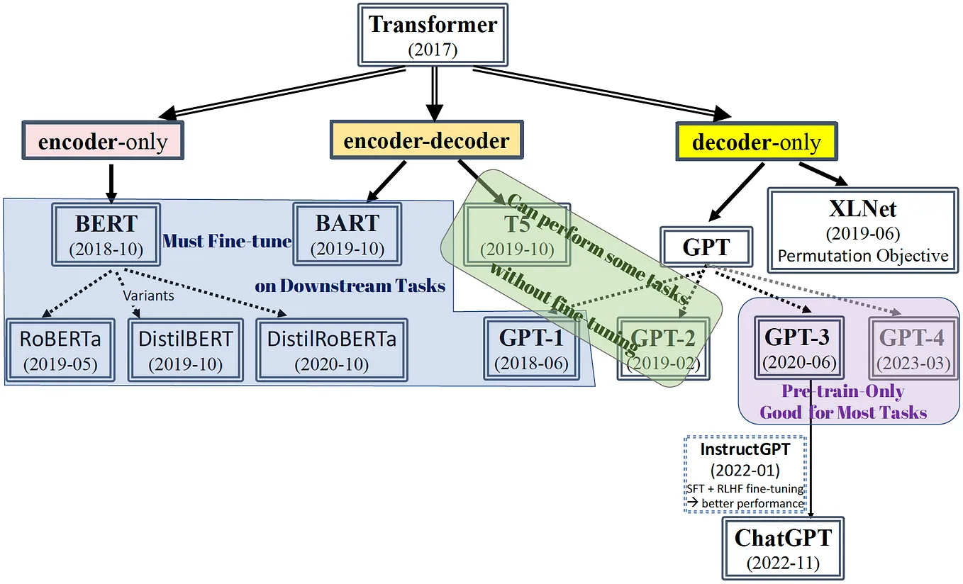 An In-Depth Look at the Transformer Based Models