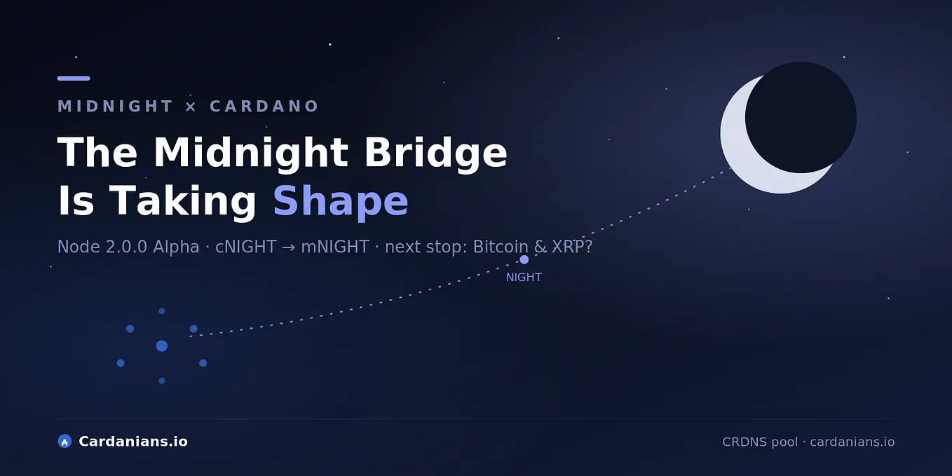 The Midnight Bridge Is Taking Shape and the Ambition Goes Far Beyond Cardano