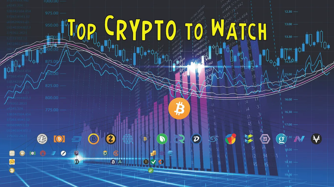 Top 2 Crypto to Watch: Expert Picks for Investment Opportunities