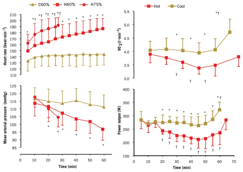 What specific physiological changes occur in the cardiovascular system during high-intensity…