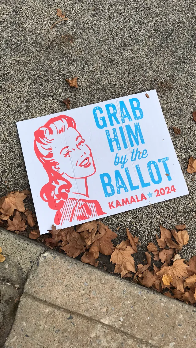 A Trump Supporter Ripped Down my Neighbor’s Kamala Harris Sign and Threw it in the Street