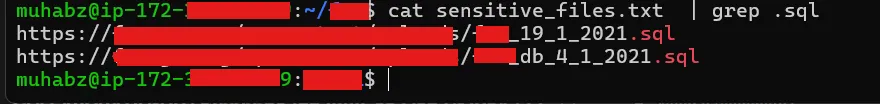 How I Hunt for Exposed SQL Backup Files During Recon