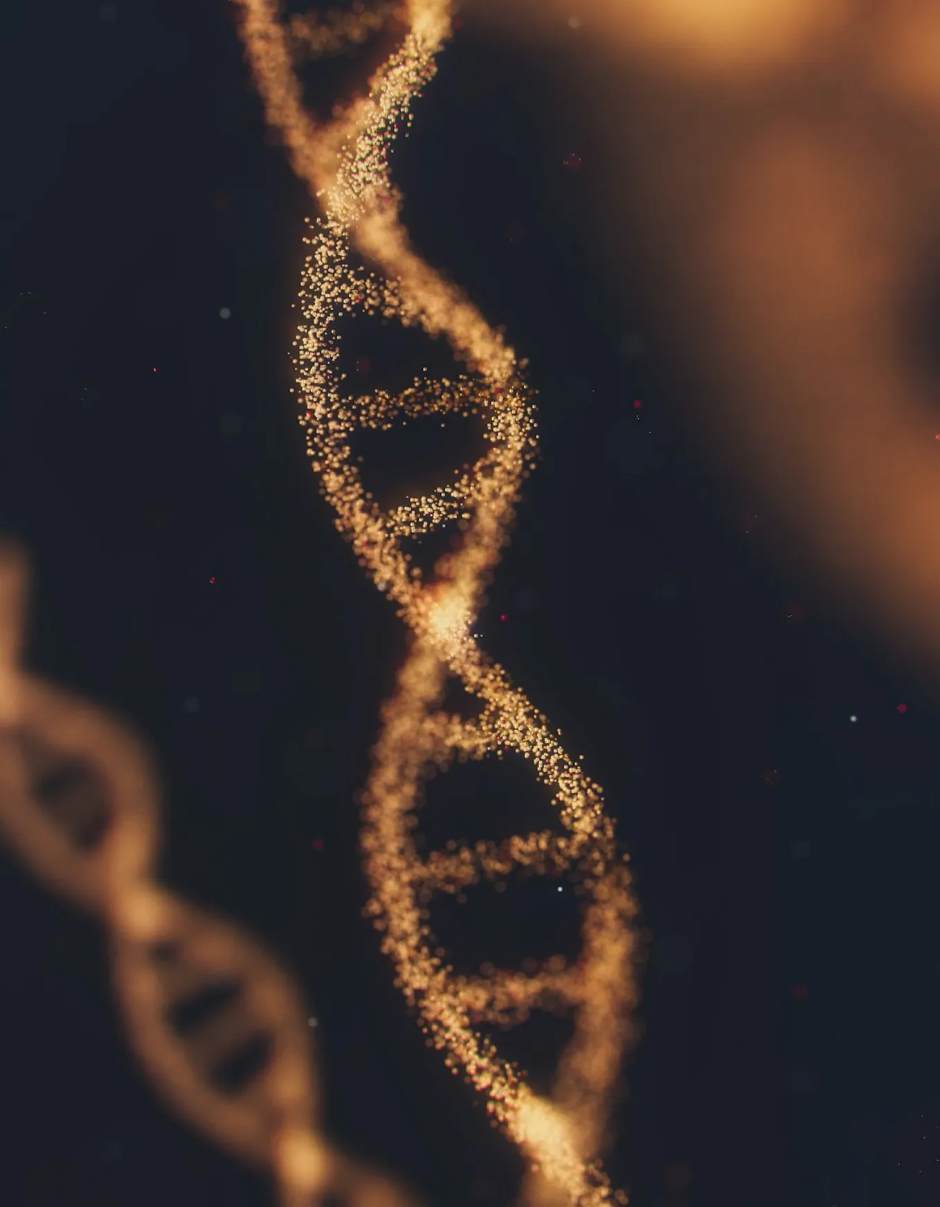 The Central Dogma of AI: From Foundational Models to Orchestrated Intelligence