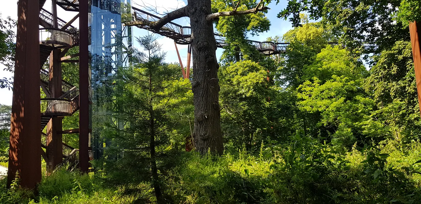 Greenery and trees with a spiral staircase and lift/elevator to aerial walkway