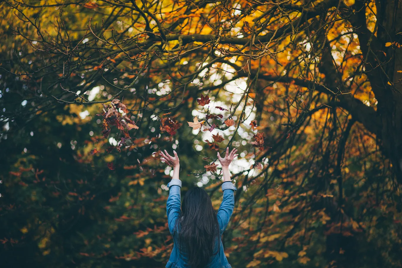The Power of Personal Vibration. The more you suppress yourself, the | by  Bridgitte Jackson-Buckley | Medium