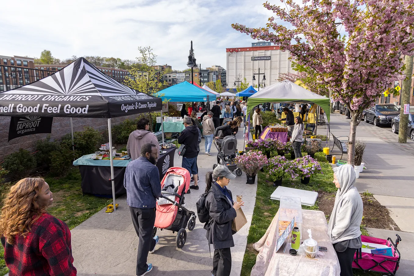 From Farmers Markets to Commercial Spaces: How Small Business Development Fuels Urban…