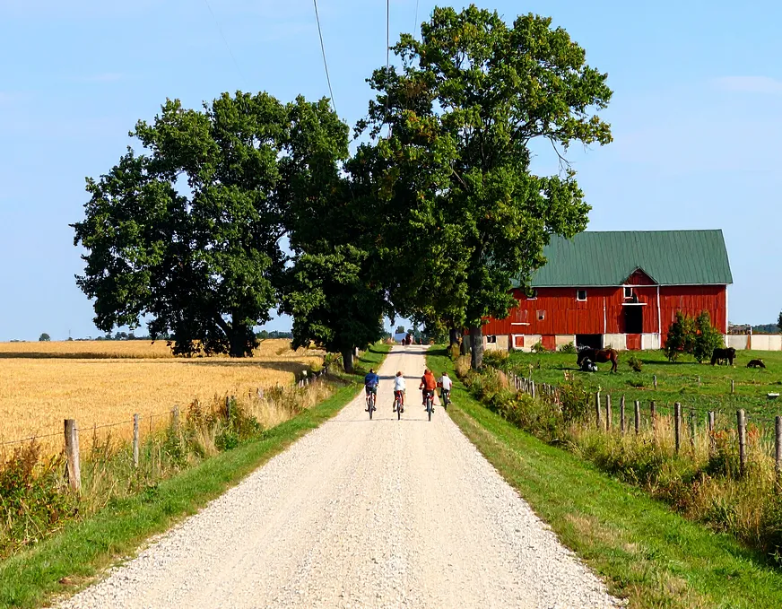 Four boys are riding bicycles on a dusty country road with a golden field on one side and grass on the other. There are trees further ahead and a large red barn with a green roof.