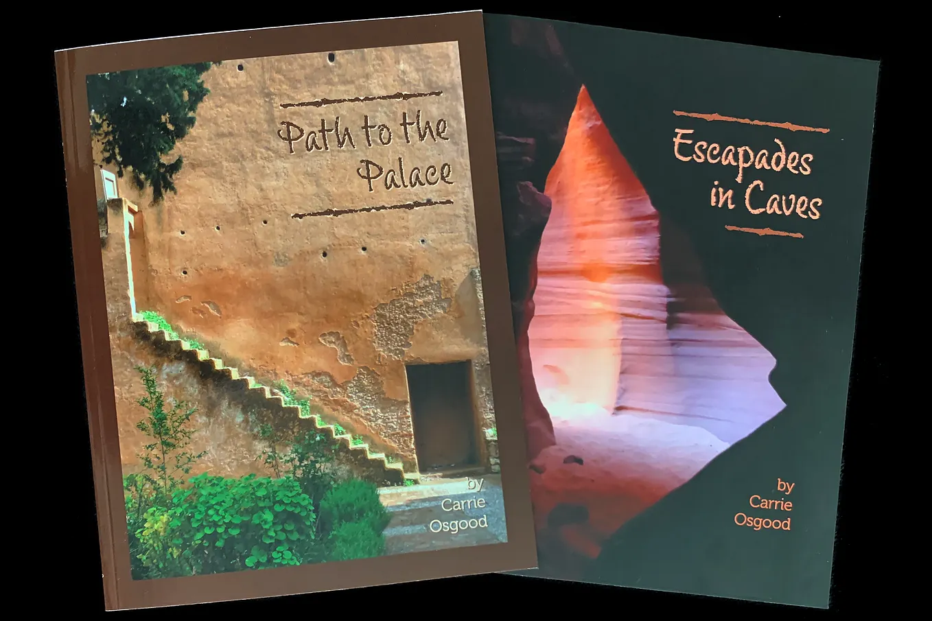 My cherished genre: allegorical picture books for all ages