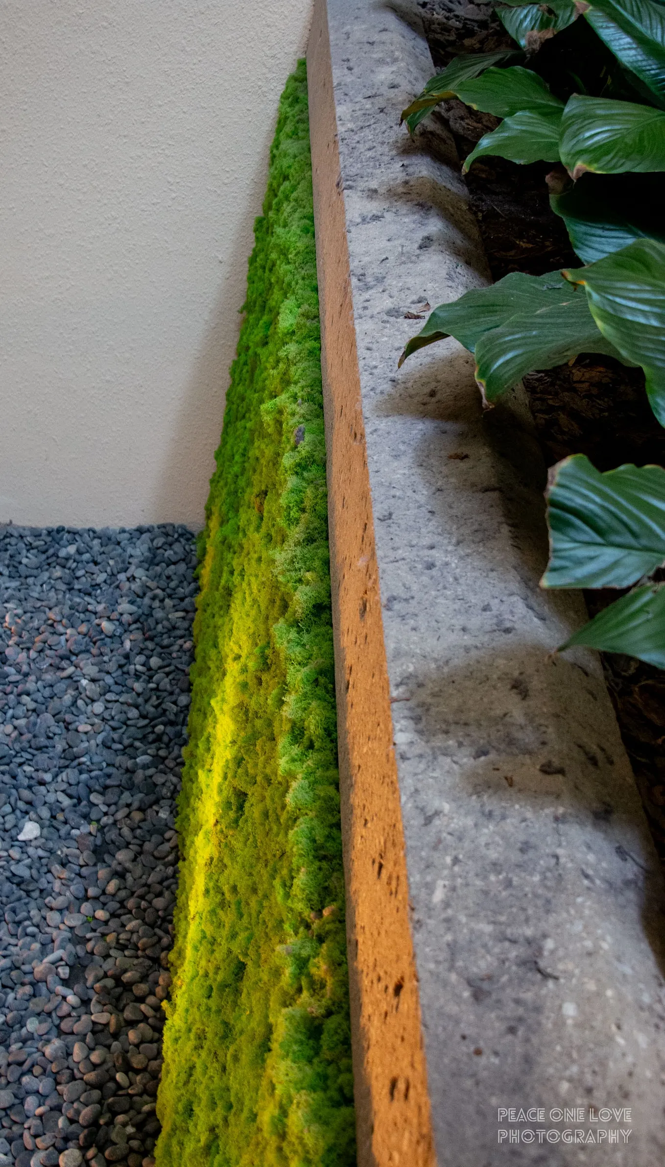 Moss Walls vs.