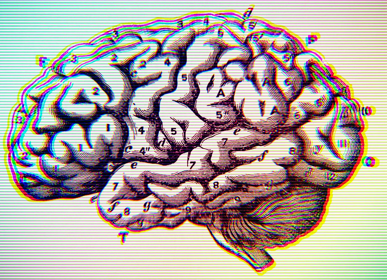 STORYTELLING Part One: The Neurology of Narrative
