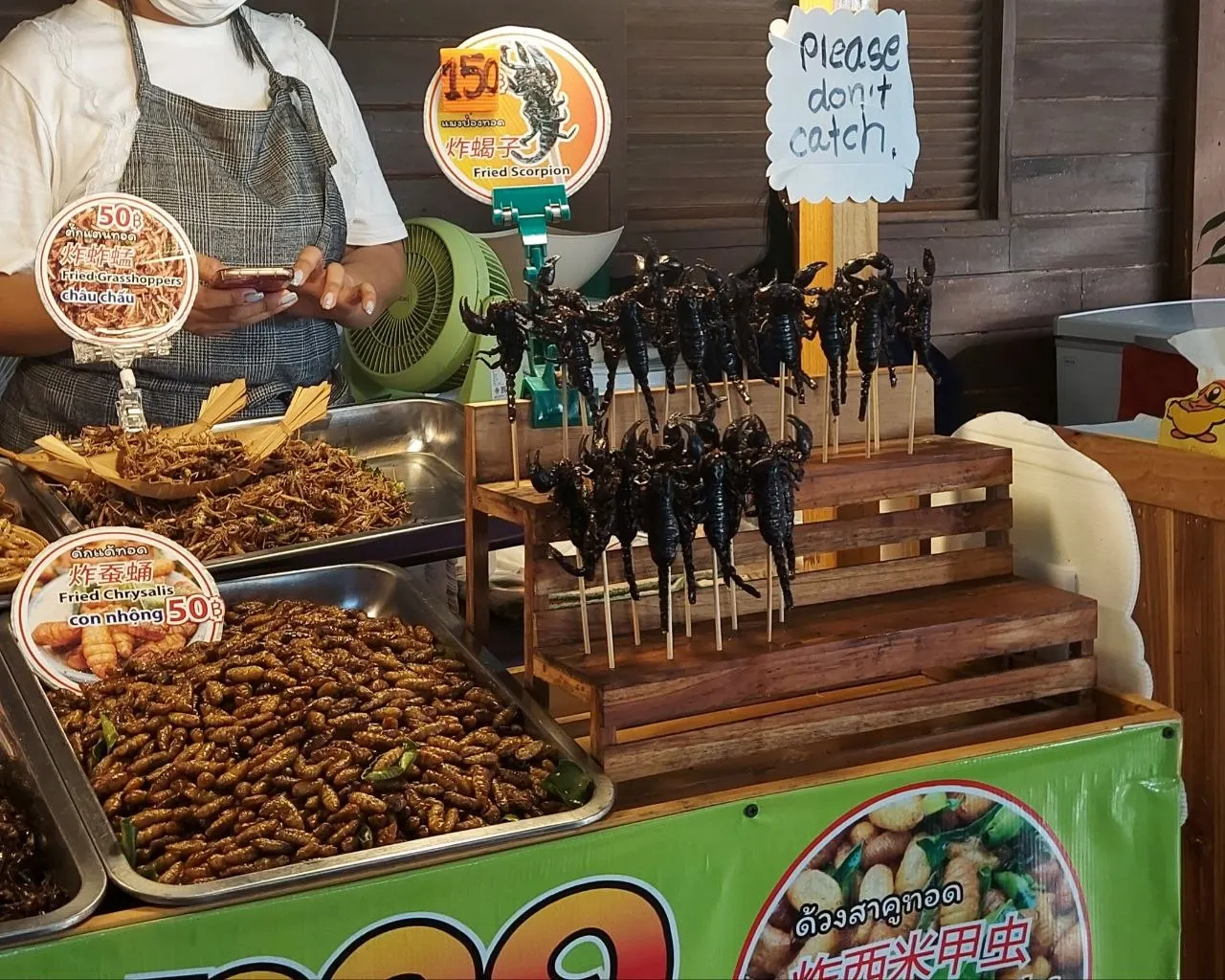 Fried scorpions on wooden skewers displayed alongside fried insects at a Asian street food stall.