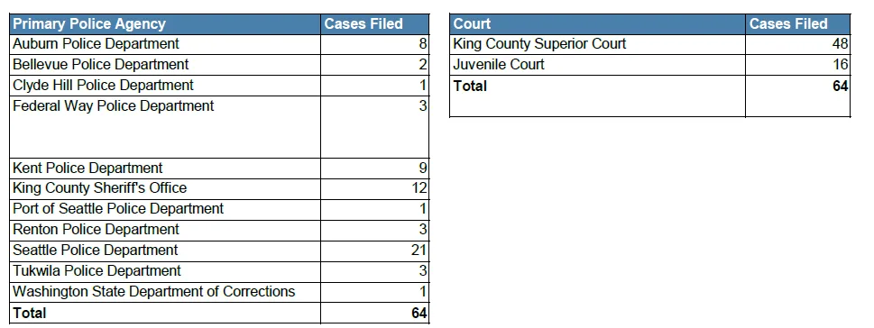 January 2025 Firearm Case Report