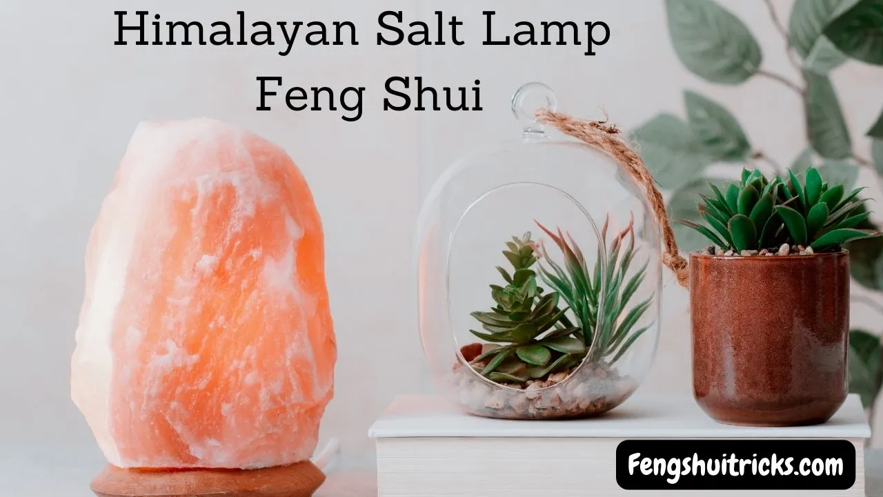 Aloe Vera in Feng Shui: Harnessing Luck with Aloe Vera Flowers | by Bhawana  Rathore | Medium