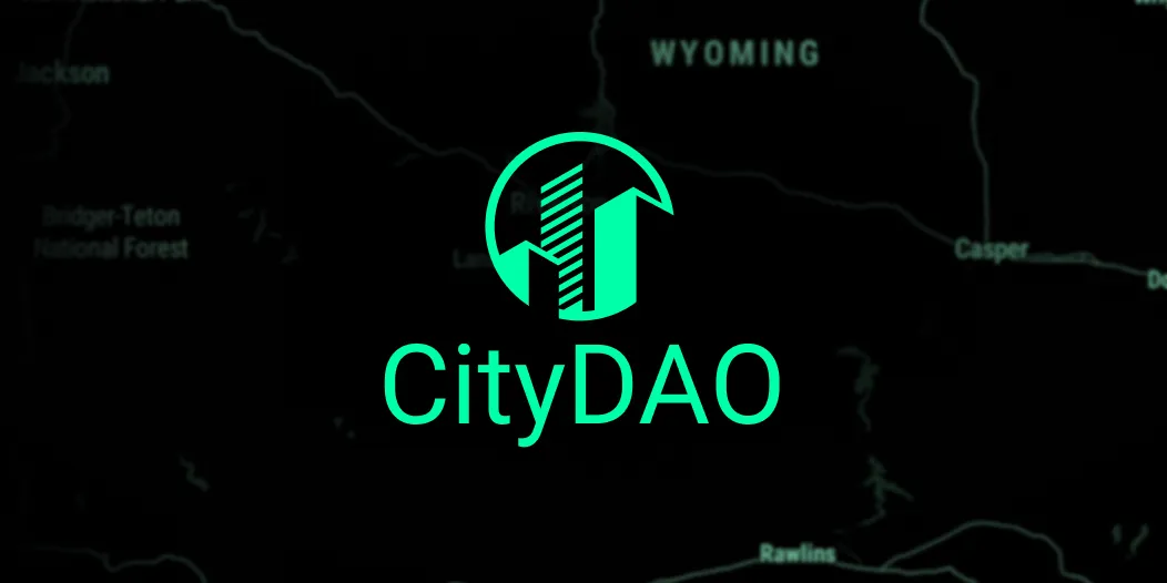 CITYDAO and the State Network Revolution
