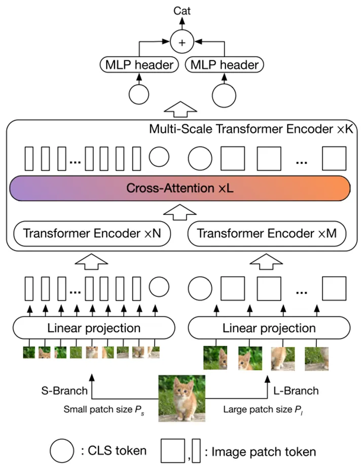 ViT : Vision Transformer. An Image 📸 is worth 16x16 Words | by Varun ...