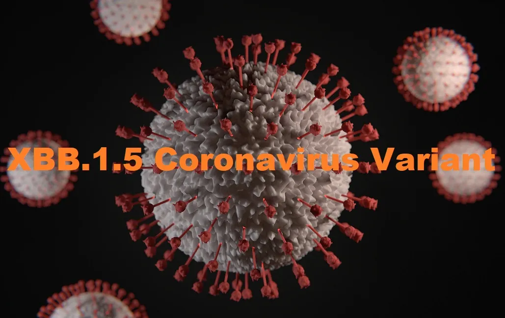 A New Coronavirus Variant Raises Concerns in the U.S. Northeast