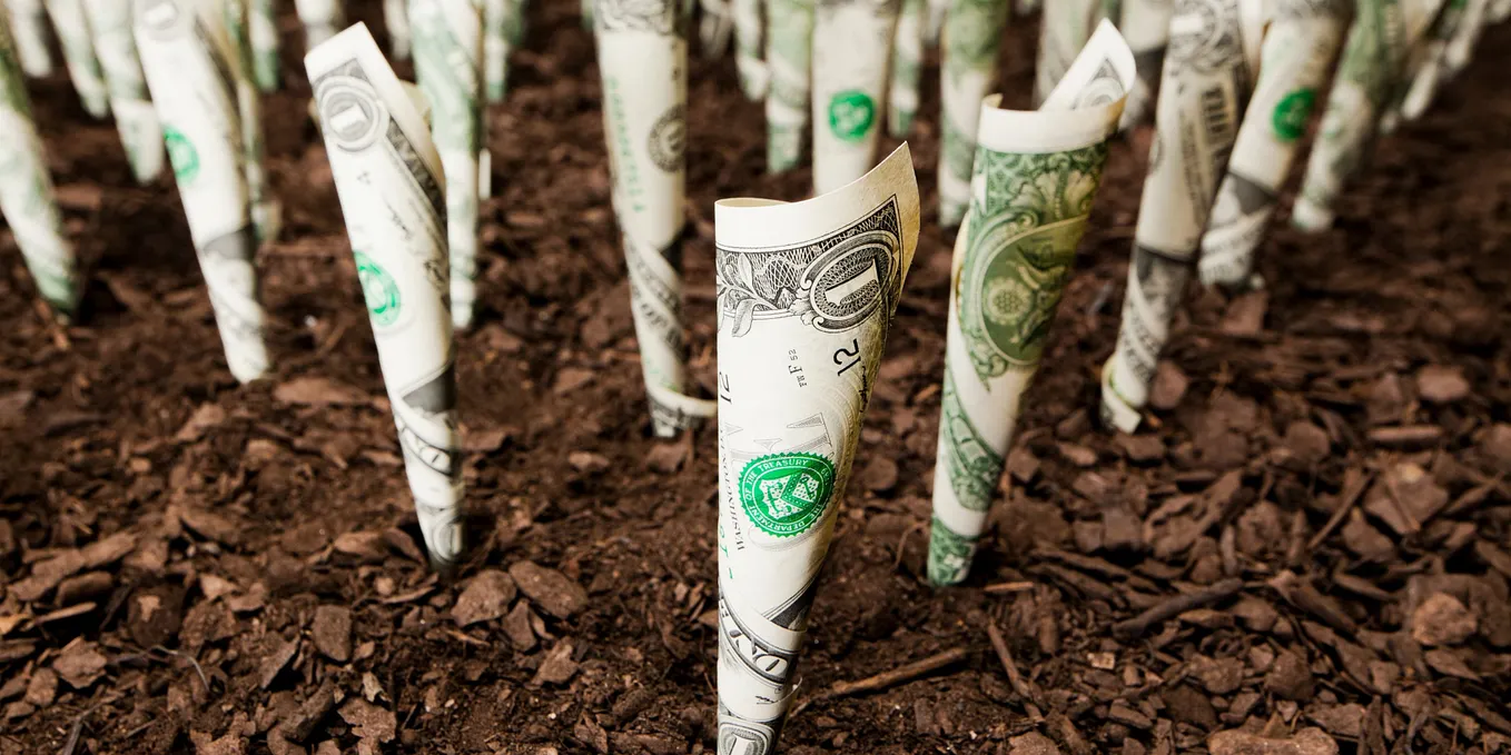 Five Dimensions Of Impact — Effective Way To Demonstrate Impact | by Sopact | Medium