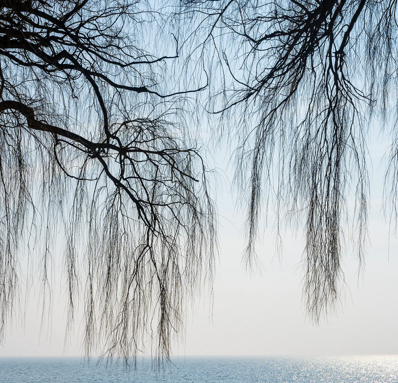 Monostich: When One Poetic Line Says It All | by Ds Traylor | NEW ...