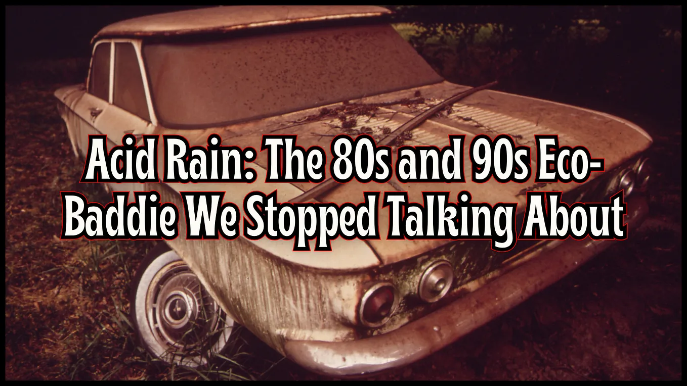 Acid Rain: The 80s/90s Eco-Baddie We Stopped Talking About