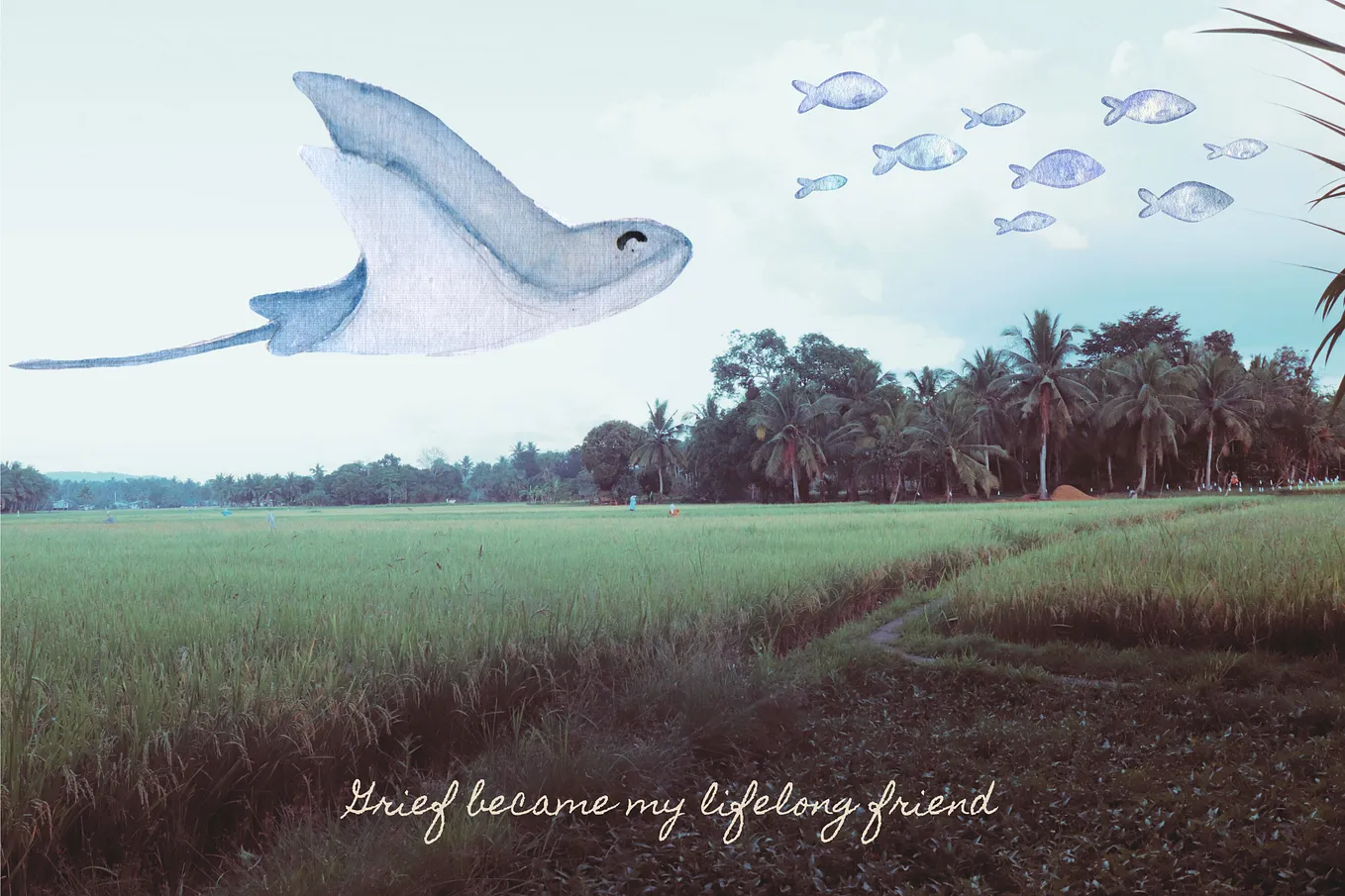 A picture of ricefields with doodle drawings of sea animals