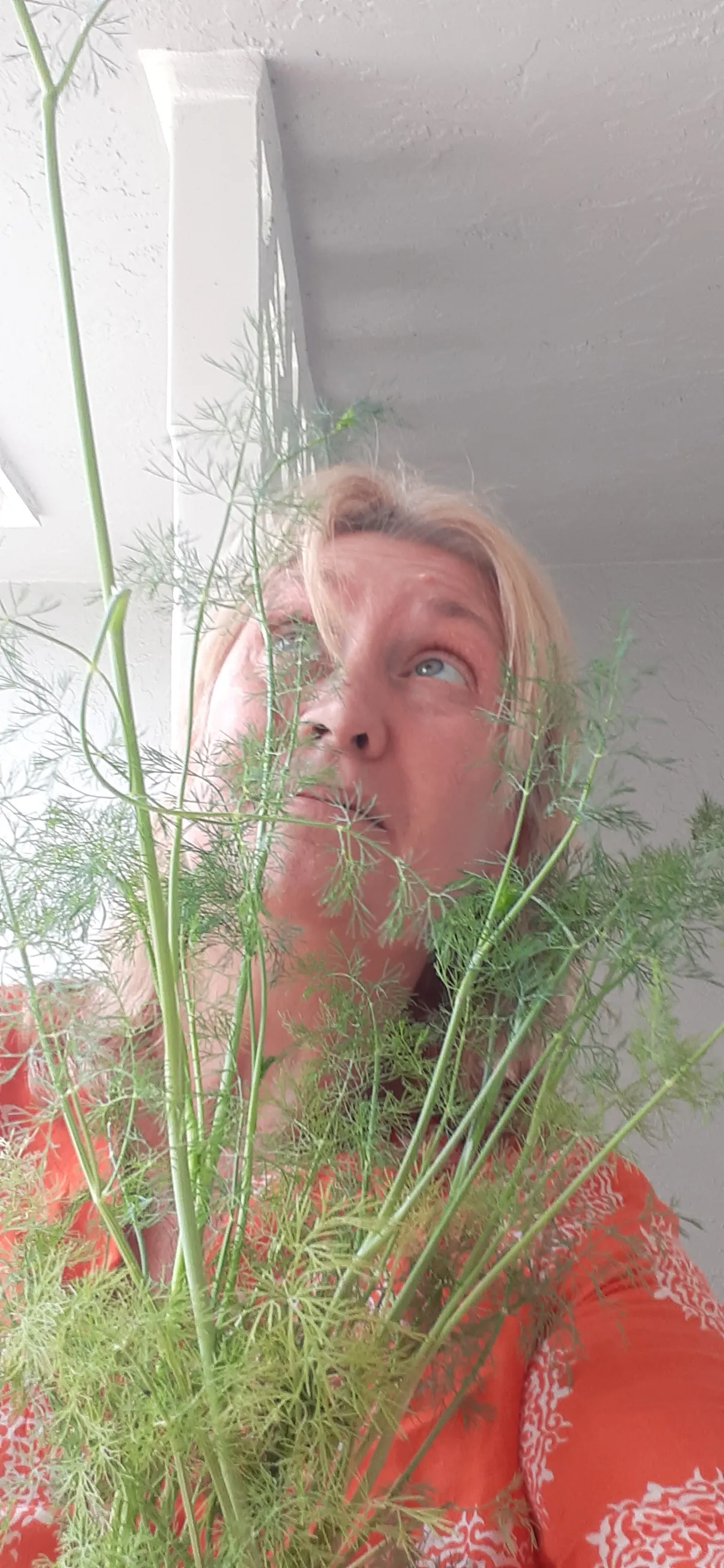 How to Speak to a Dill Weed Plant. Take the 7 Day Challenge