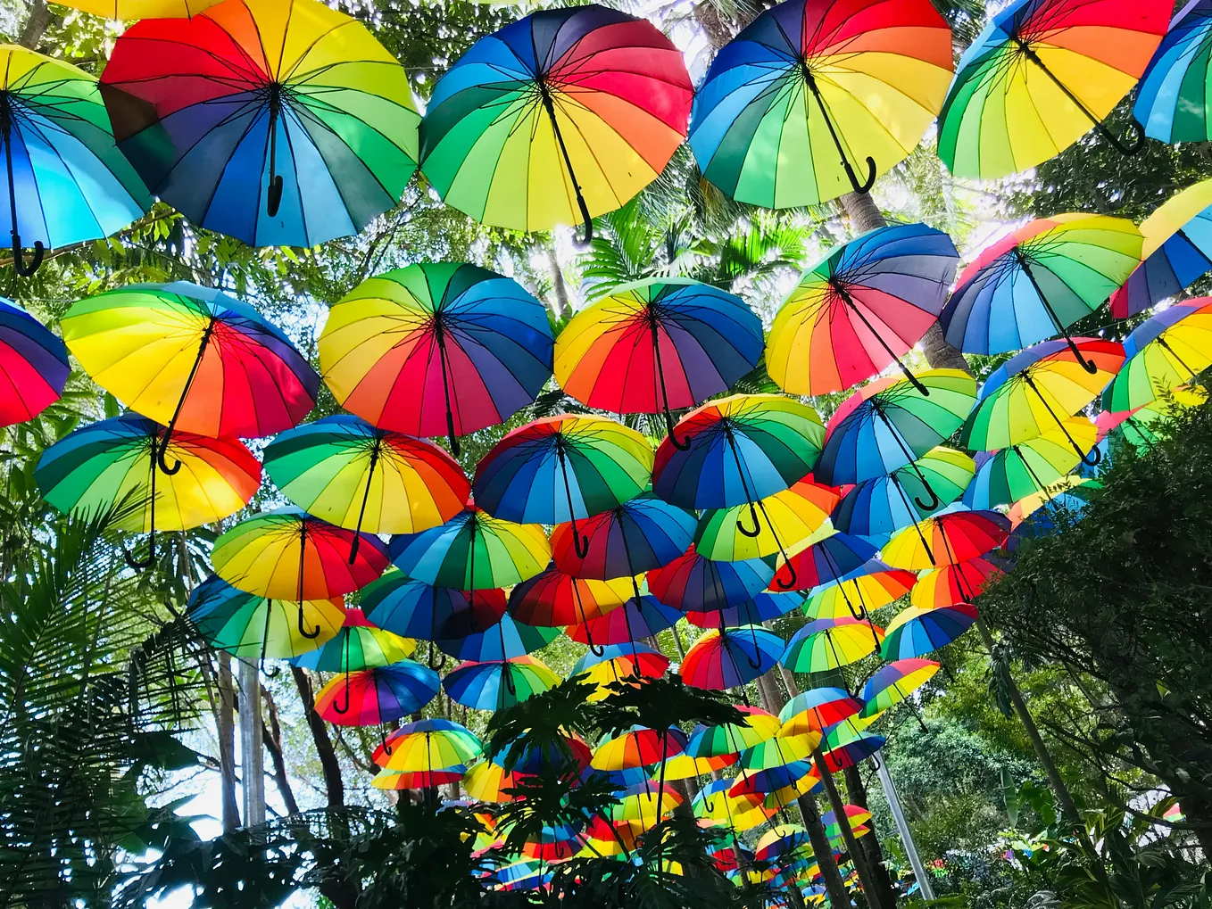 A canopy of rainbow-coloured umbrellas line a street.