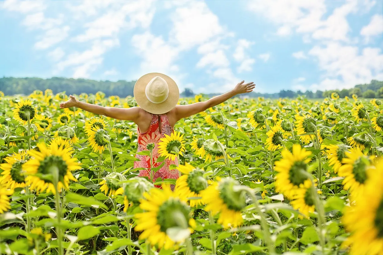 Launch a Small Sunflower Flower Farm - Earn a Side Income