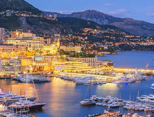 Did You Know… The World’s Second Smallest Country Is A Home To The Highest Concentration Of…