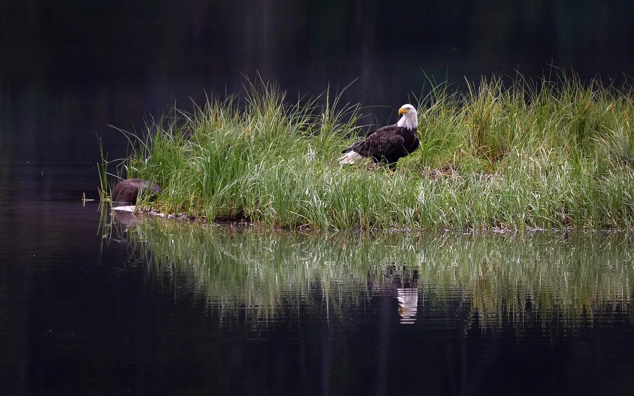 Preserving Life’s Tapestry: Understanding the Interplay of Climate Change, Biodiversity, and…