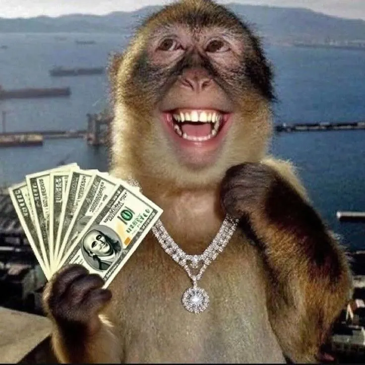 I Looked at How People Are Actually Making Money Online in 2026. Most Advice Is Wrong.