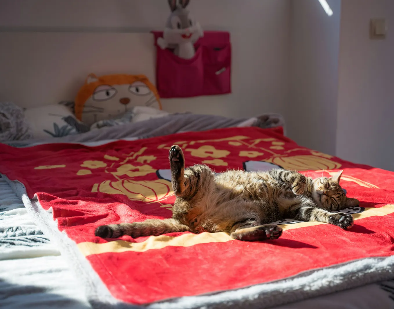 Siesta