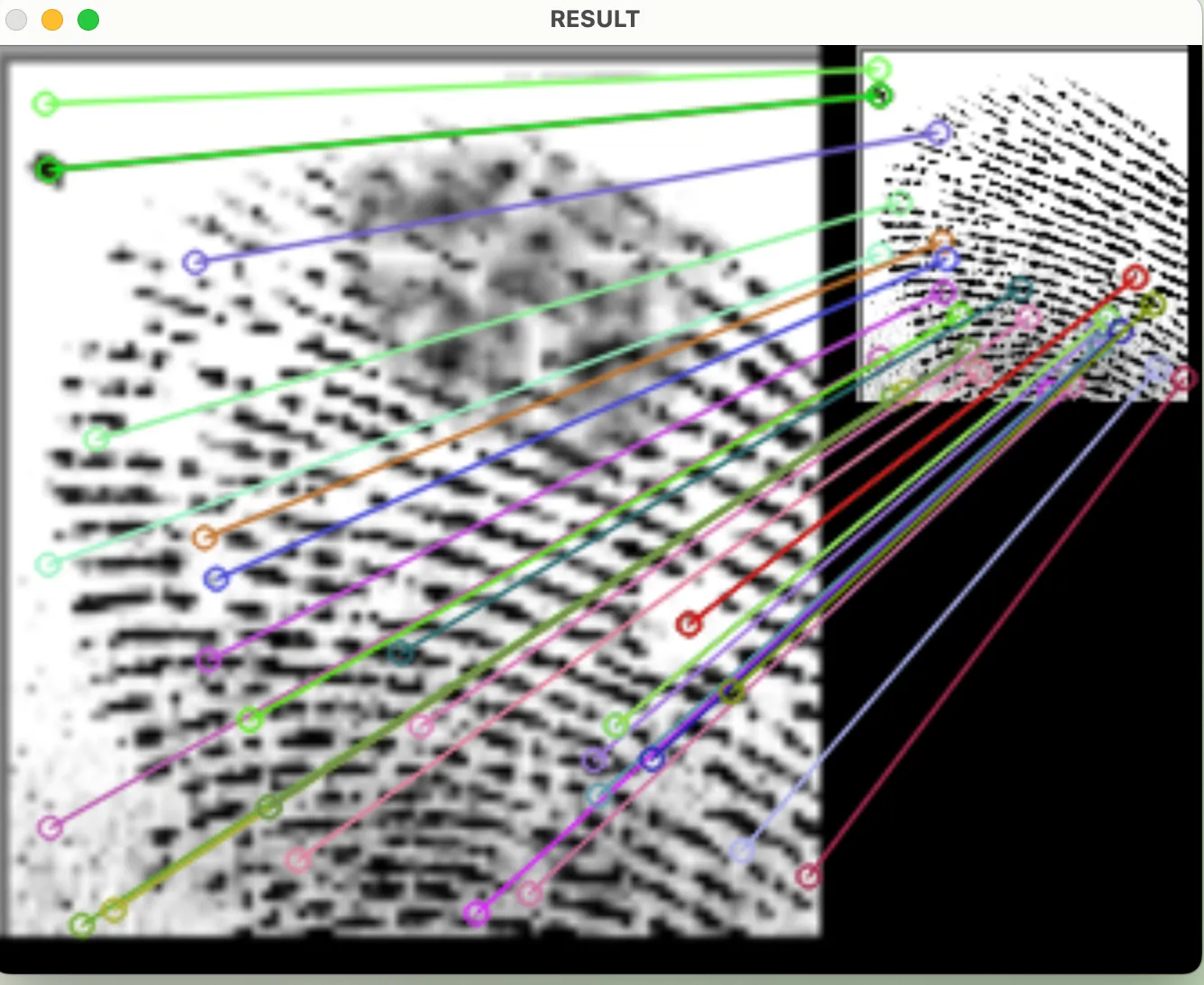 I Made Fingerprint Matching Instant and You Can Too