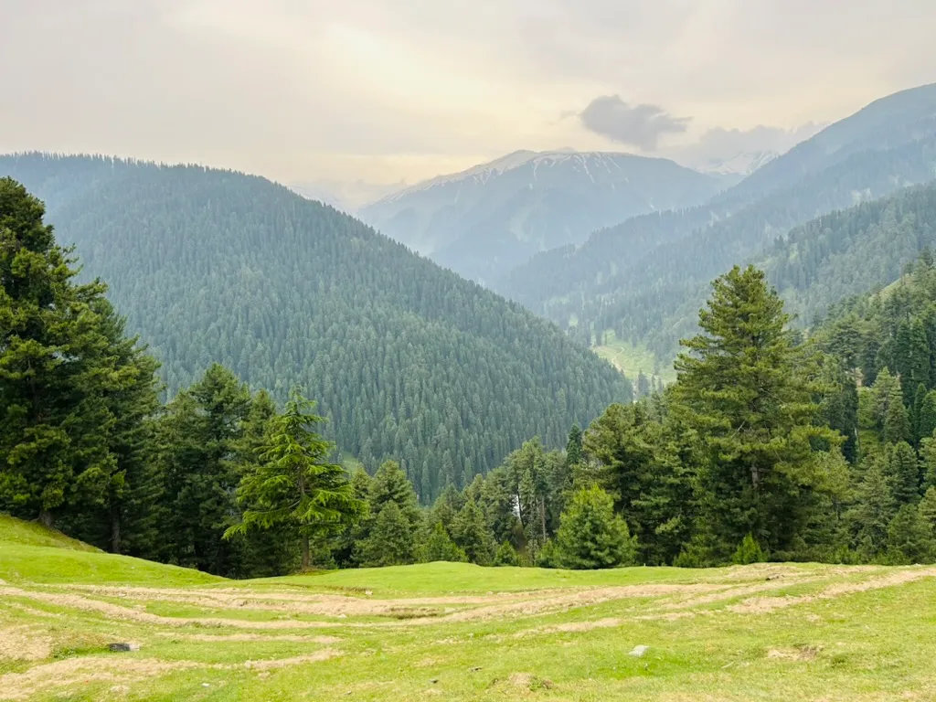 “Kashmir’s Timeless Appeal: A Journey Through History and Beauty”✨