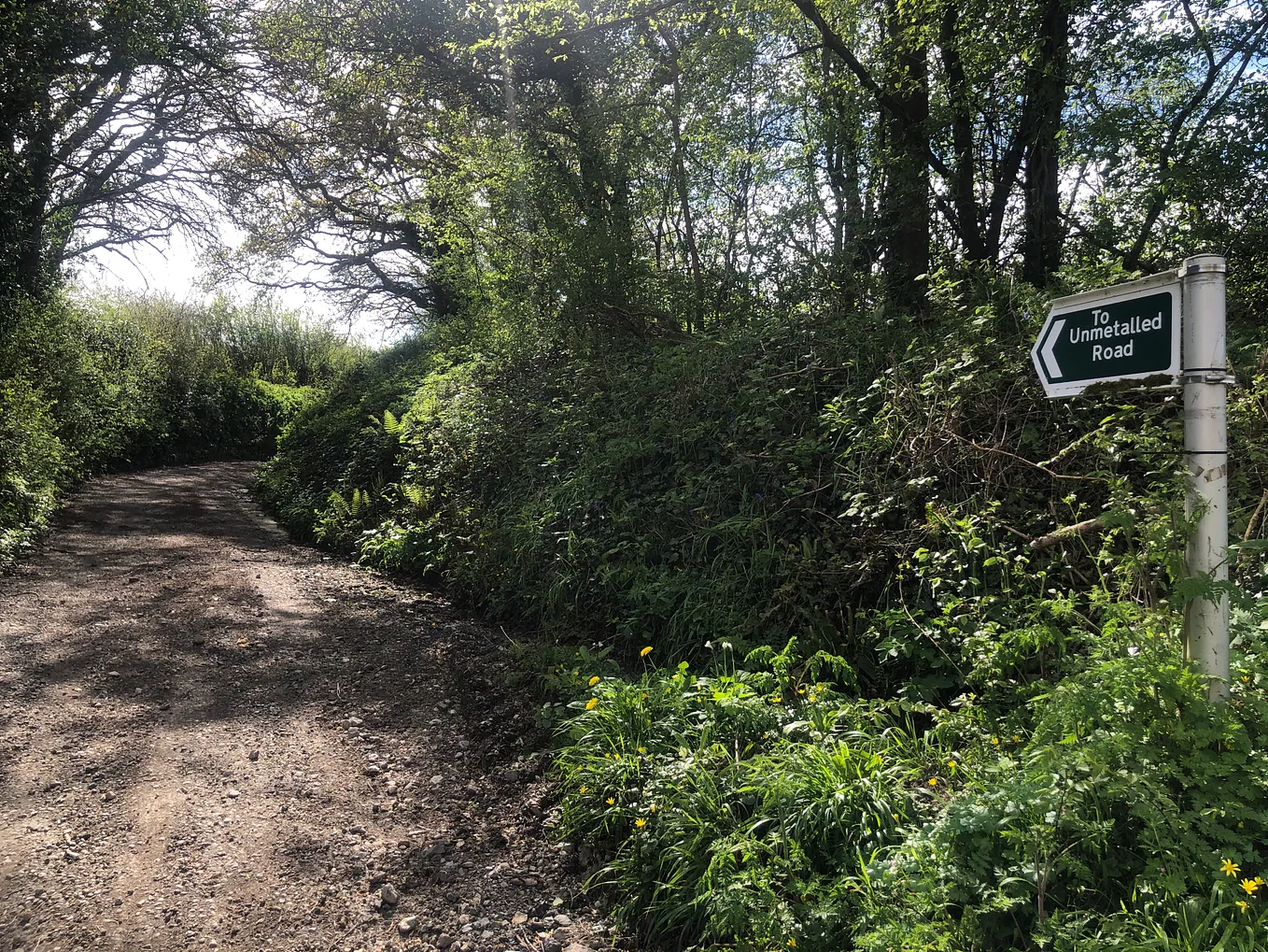 View up a rural lane with high hedges and tree