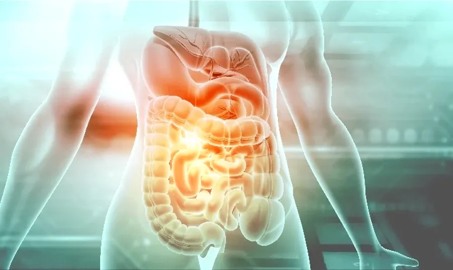 What is a Gastroenterologist?