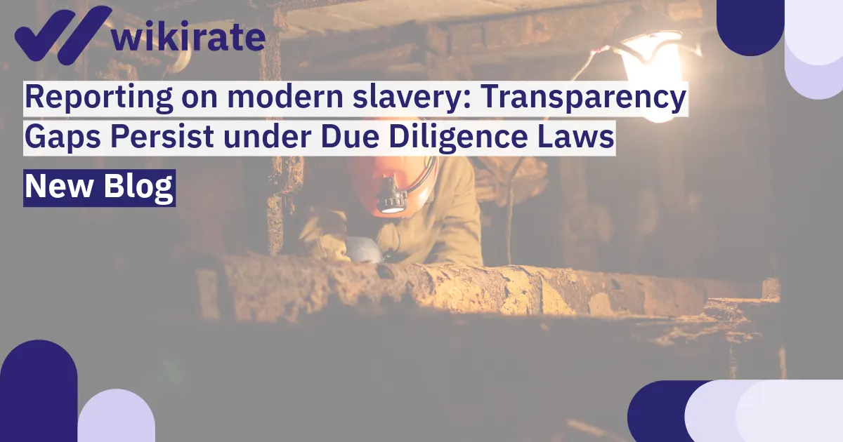Reporting on modern slavery: Transparency Gaps Persist under Due Diligence Laws