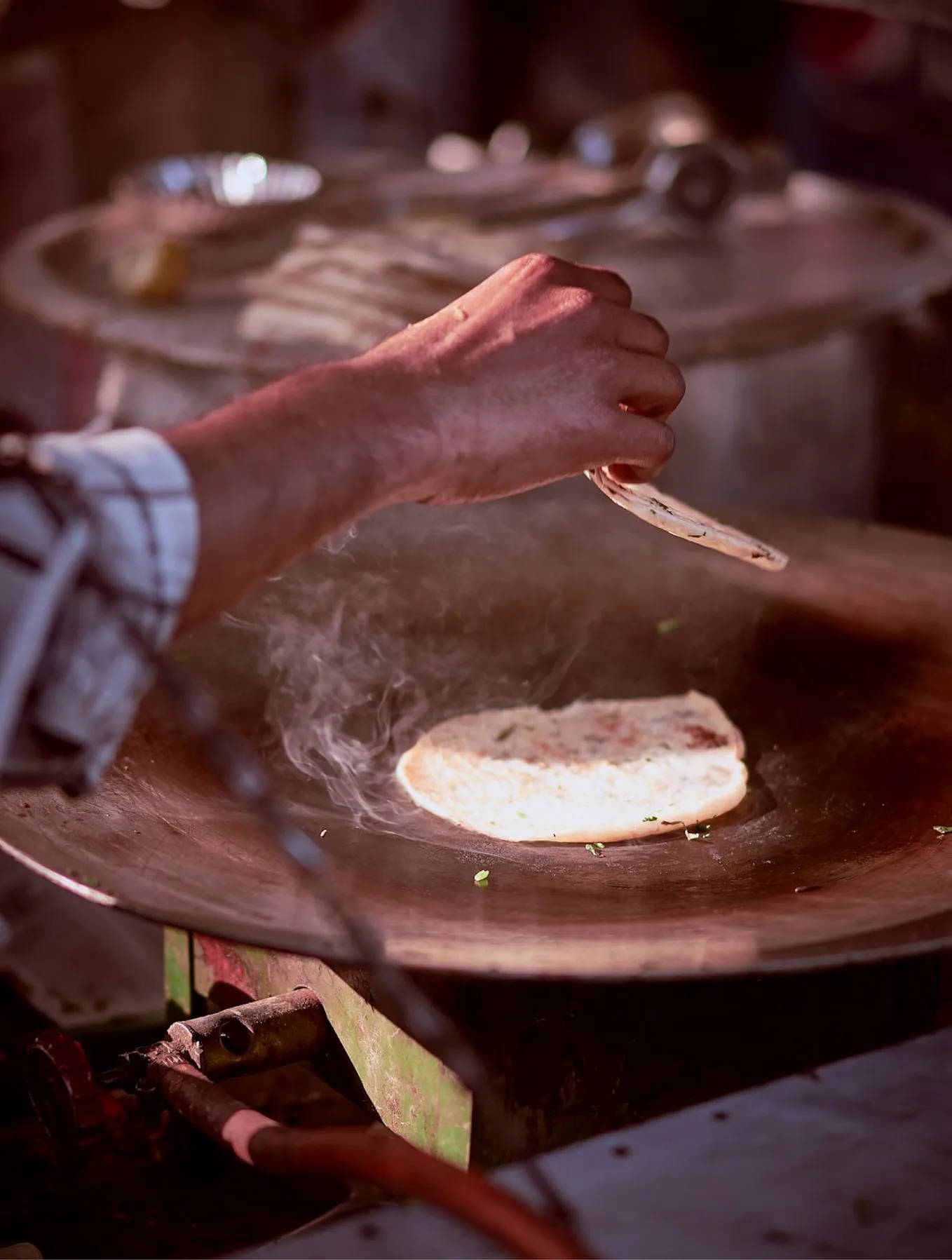 The Flavors of India: A Journey Through Street Food