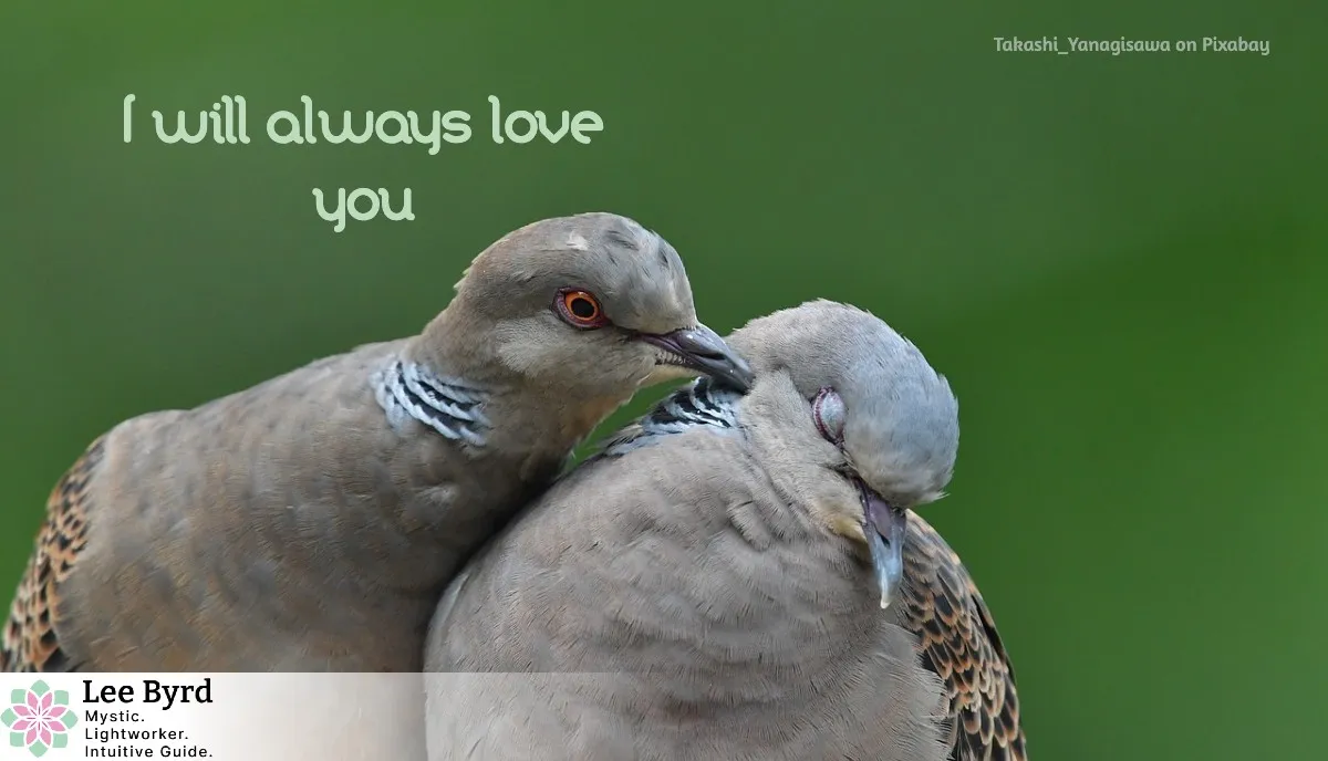 Two bird, one appears to be kissing the other. Photo caption reads: I will always love you. Image by Takashi Yanagisawa on Pixabay