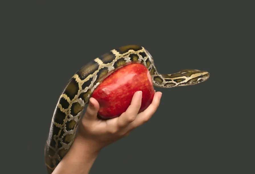THIS IS MY LIST OF THE 7 DEADLIEST SEED TO B STARTUP MARKETING SINS THAT WE ALL KEEP MAKING