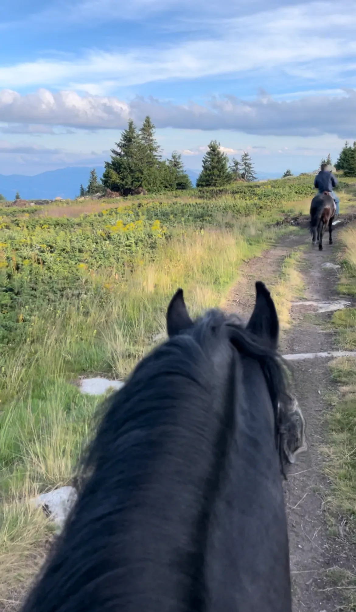 A week with a mission: “Finding the purpose of life”