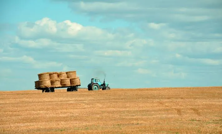 Farming Is A Major Source Of Incom