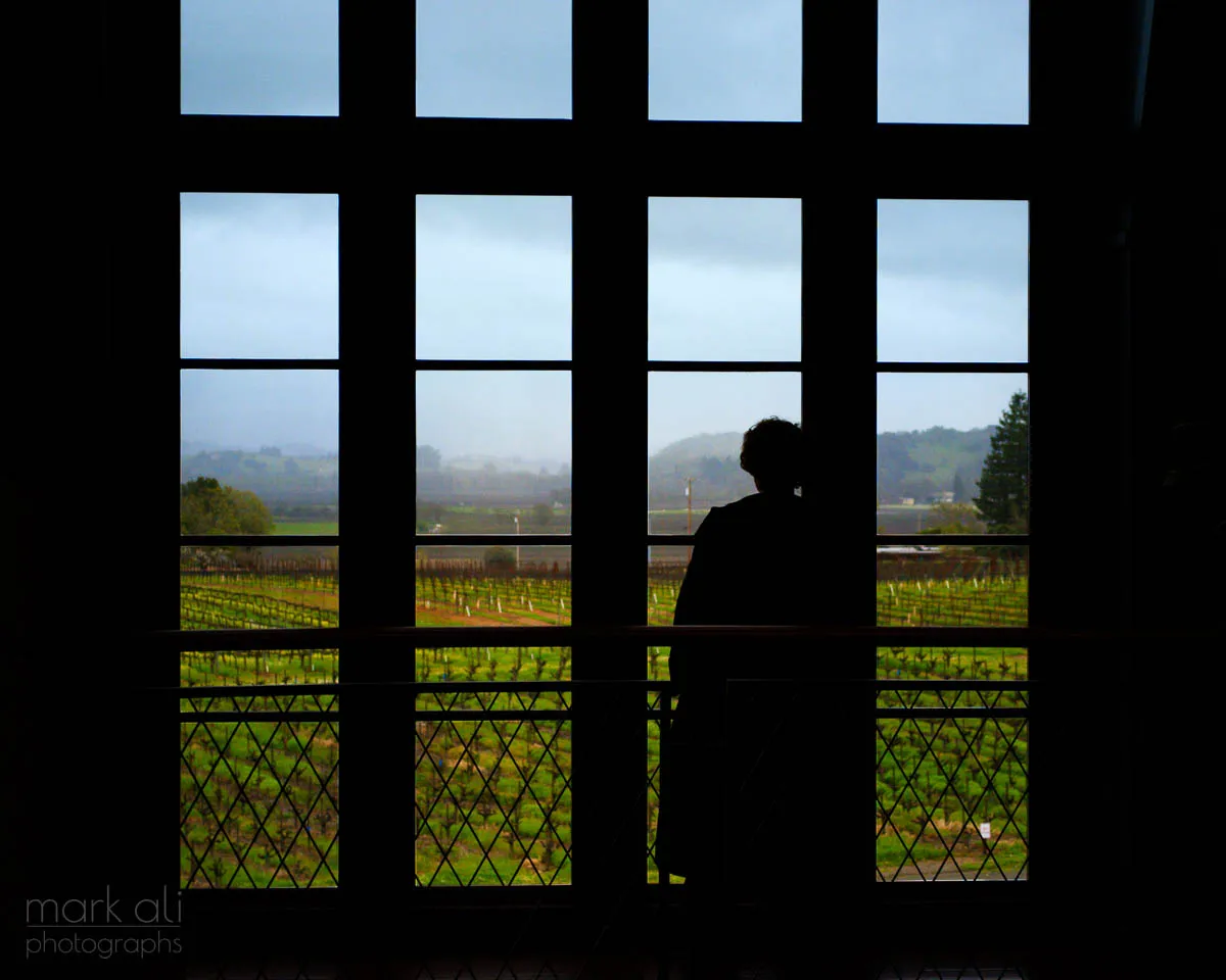 A silhouetted woman looks out a window at a vineyard at a Napa winery.