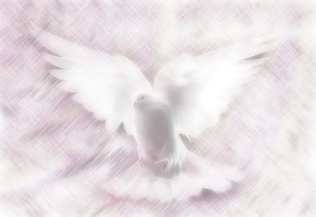 Dove of peace.