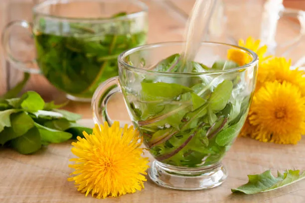 Discover the Secret of Dandelion Leaf for Weight Loss! 🌿✨