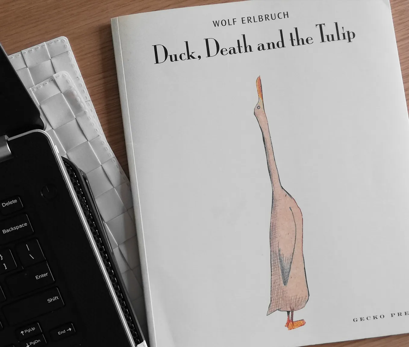 Duck, Death and Tulip By Wolf Erlbruch